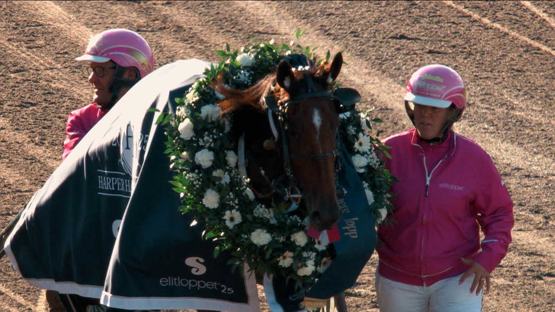 Harper Hanovers Lopp 2025 Solvalla Harper Hanovers FJCY